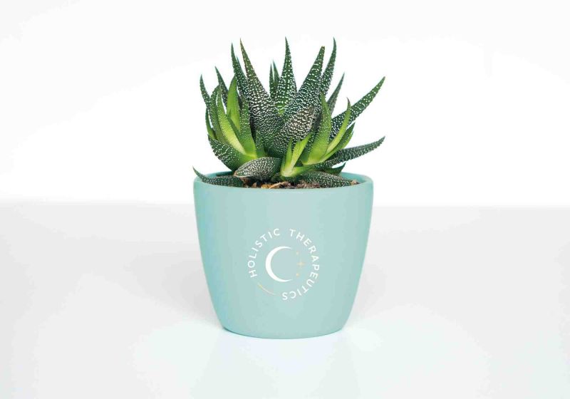 Holistic Therapeutics Plant